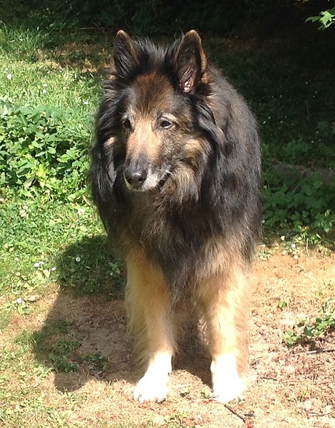 Ben 13 Jahre alt