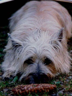 Anny 1987-2001