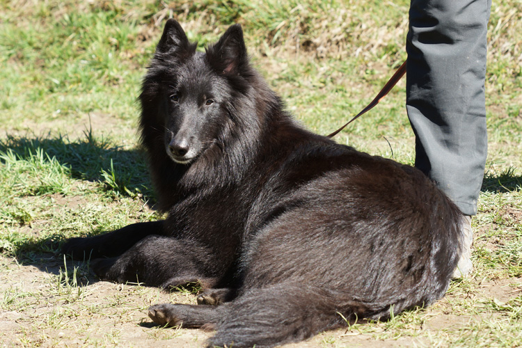 Mirabelle 3 Jahre alt