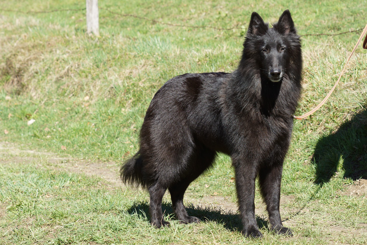 Mirabelle 3 Jahre alt