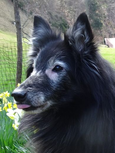 Nikita 13 Jahre alt