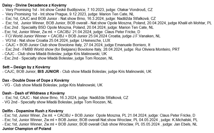 D-Welpen Showresults