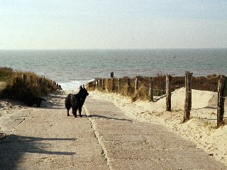 Cheyenne riecht erstmals die Meeresbrise