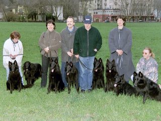 A-Wurf - ohne Ajoue, jedoch mit Umba und Floh