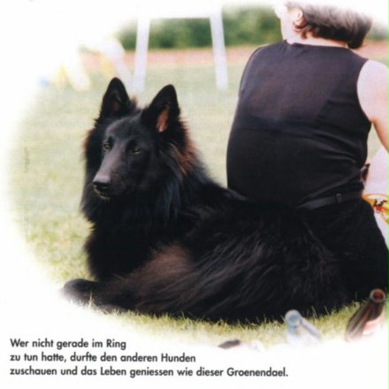 Ace und Baba relaxen