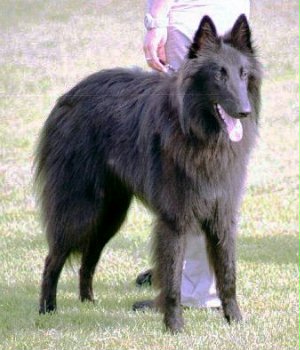 Aick Jugendklasse Sehr gut