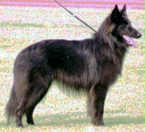 Aline Jugendklasse Vorz&uuml;glich 2