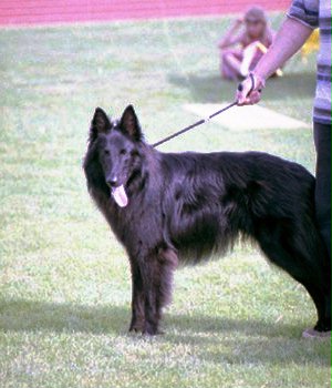 Aristoteles Jugendklasse gut