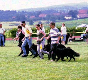 Zuchtgruppe in Action