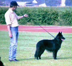 Max mit Aline im Ring