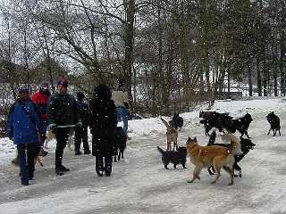 erstes Beschnuppern von gross und klein