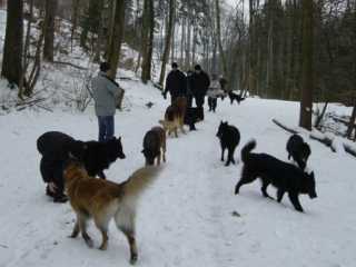 auf dem richtigen Weg