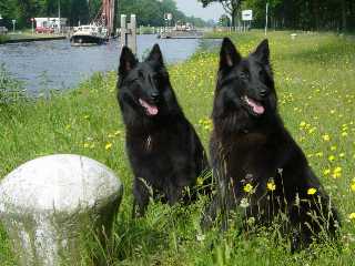 Cheyenne und Aline am Kanal
