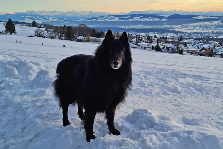 Woche 4