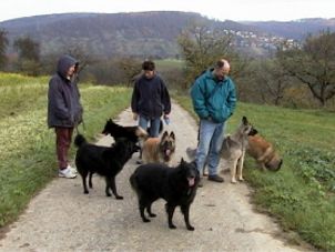 3 Hundefans, 3 Groenendael, 3 Tervueren