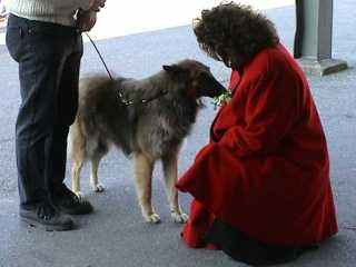 Luna bei der Richterinspektion