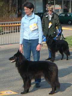 Aline und Ursi haben's geschafft - V4