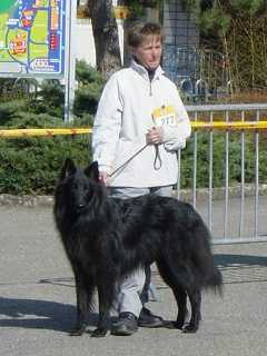 Baco und Monika im Ring - beide V