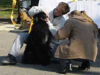 Perfektes Z&auml;hnezeigen