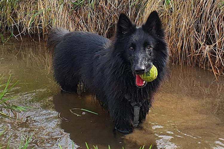 Ulaya 1 1/2 Jahre alt