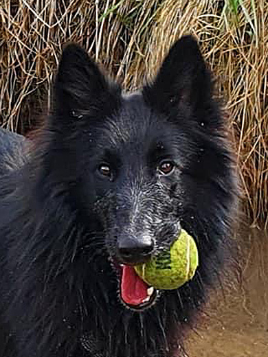 Ulaya 2 Jahre alt