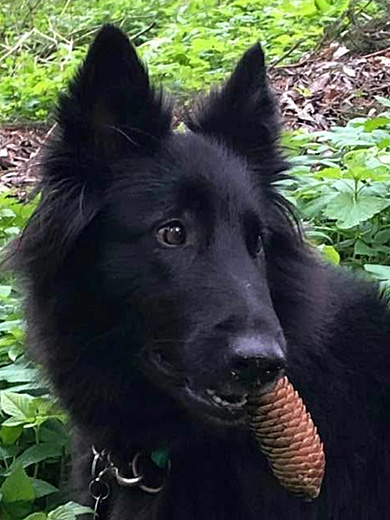 Uljana 4 Jahre alt